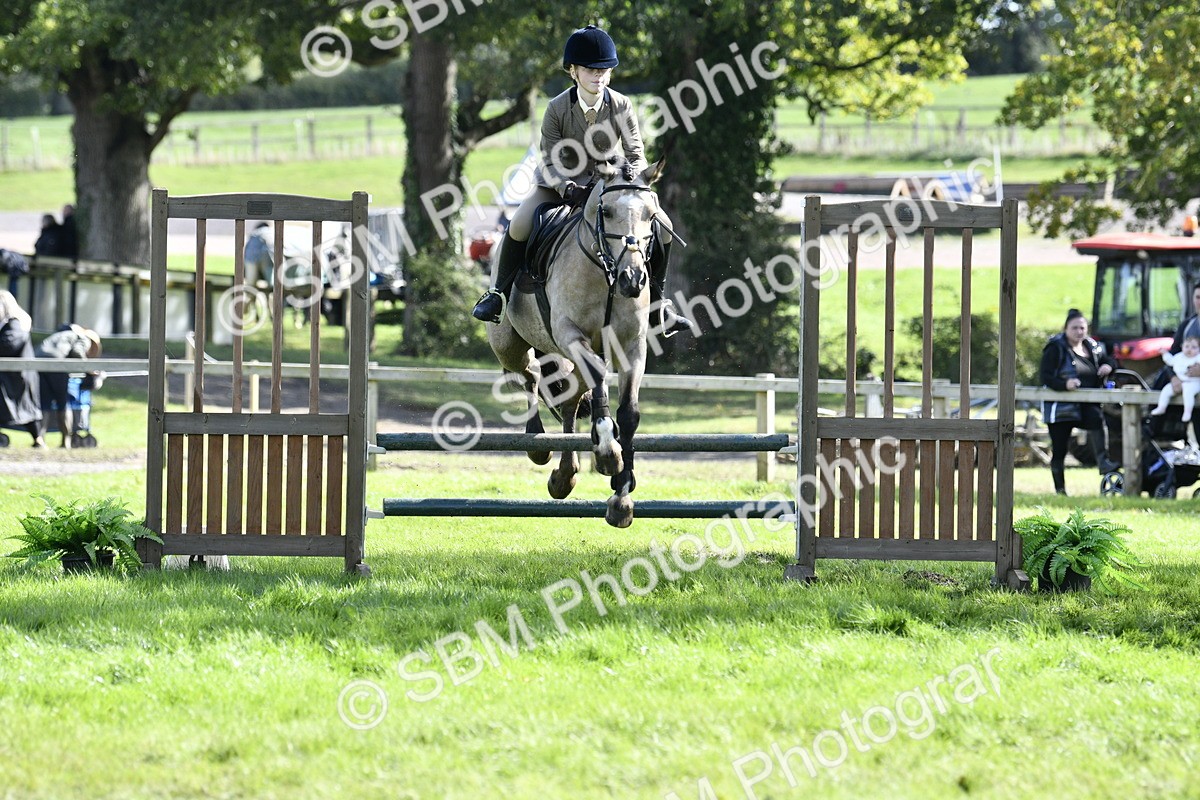 SBM_45721 - S33 - Working Hunter Pony