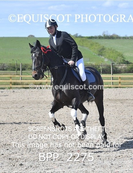 BPP_2275 - CLASS 22 SUN Senior BritiNovice/ 90cm Open