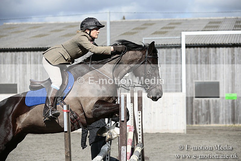 BVRC SJ 170319 353 - Bourne Valley Riding Club Showjumping 17/03/19