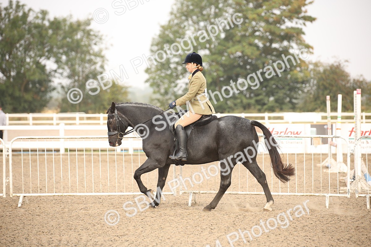 SBM_09705 - Class 401 Riding Club Pony