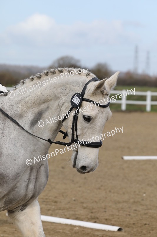 20260314-1971 - CT2 - Prelim 1