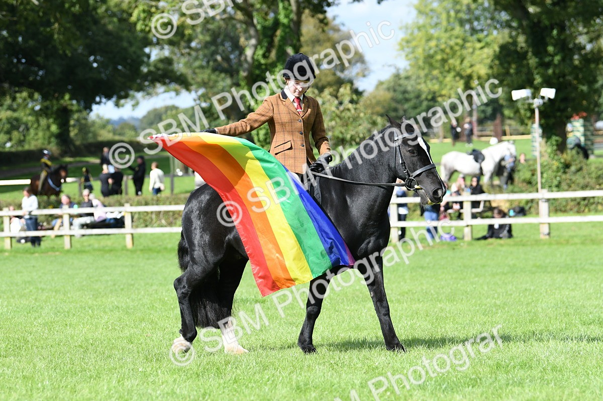 SBM_47060 - S12 - Family Horse & Pony