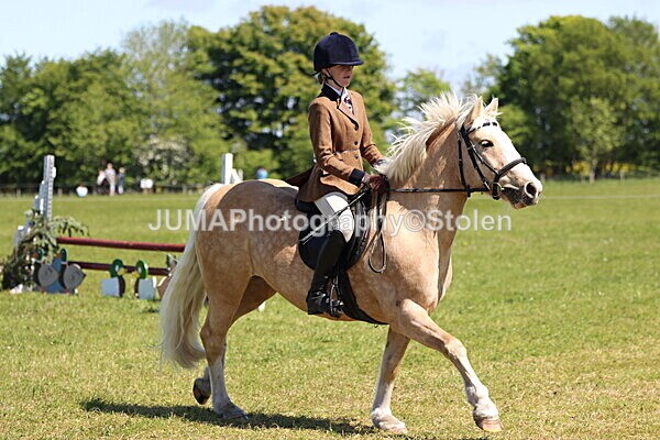IMG_3872 - Working Hunter