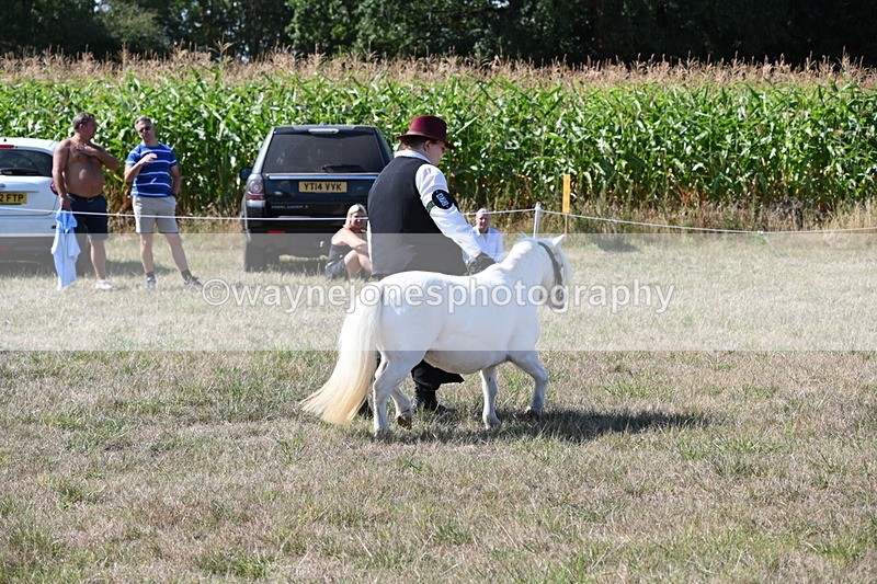WJ6_4804 - Class 17 Mountain & Moorland
