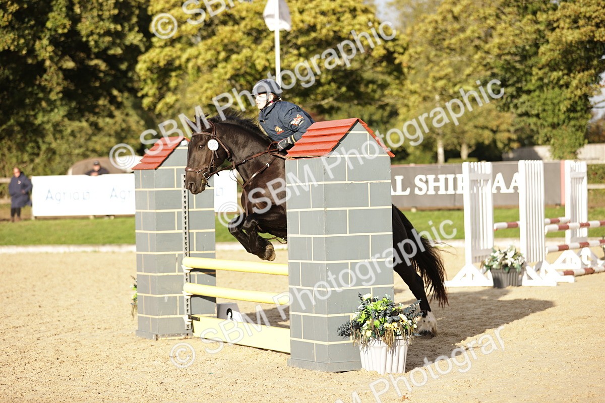 SBM_29952 - j52 - Open 80cm