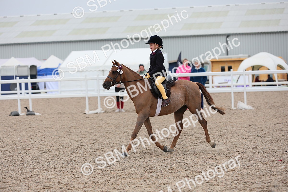SBM_18132 - Class 316 Best Pony/Rider Combination
