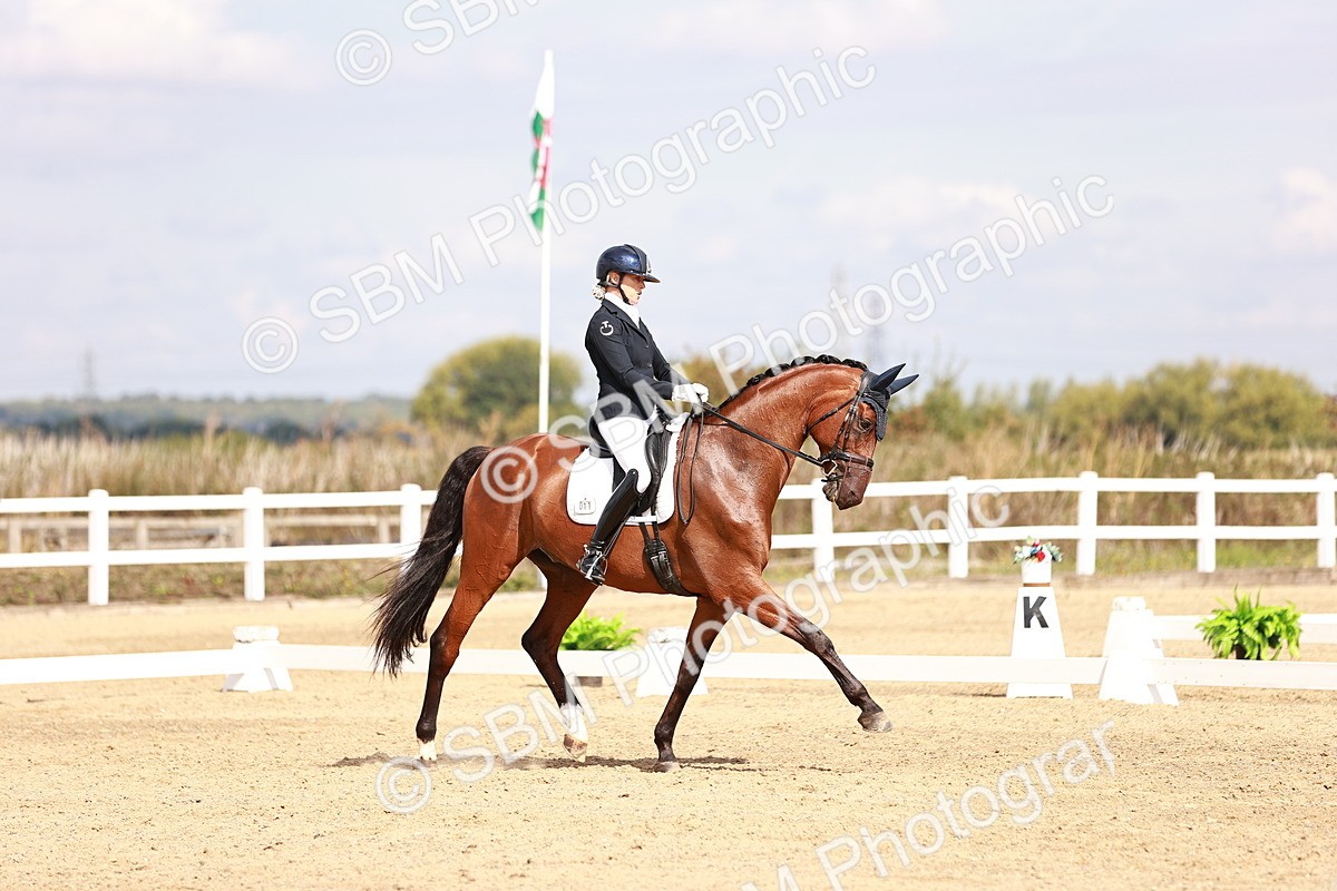 SBM_017648 - Class 11 - Advanced Medium 6