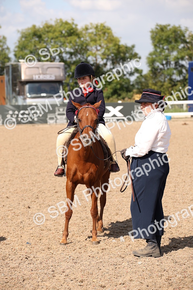 SBM_03063 - Class 17 Prettiest Mare IH or Ridden