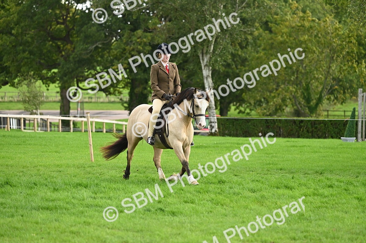 SBM_26606 - S7 - Novice & Newcomer Ridden Pony