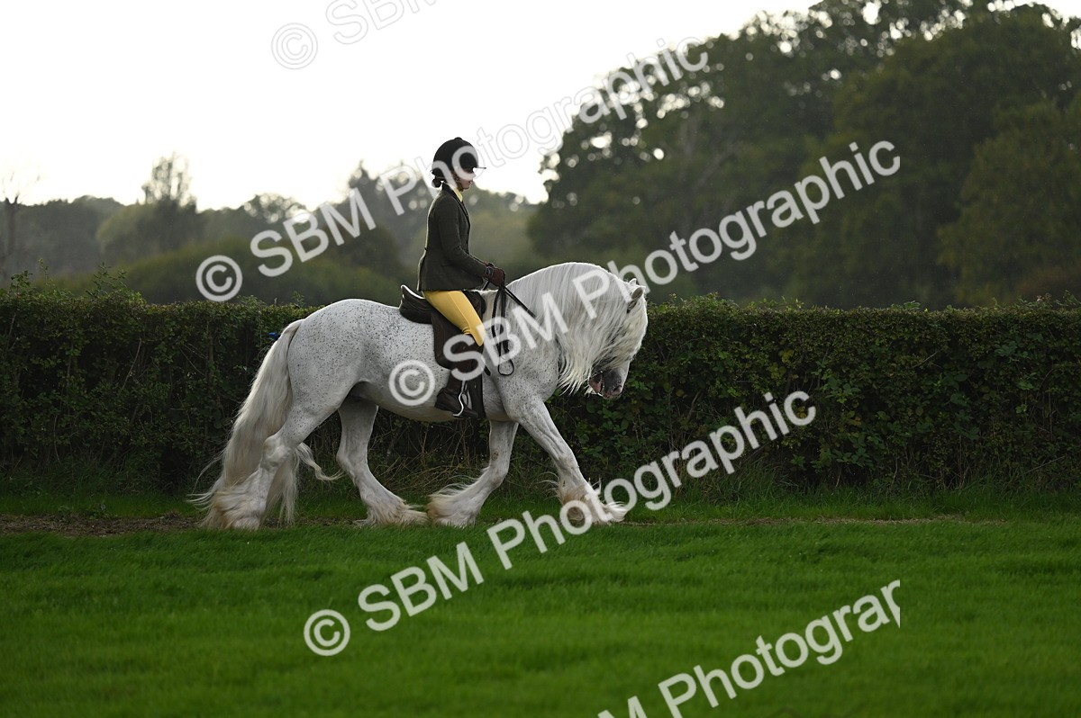 SBM_26583 - S7 - Novice & Newcomer Ridden Pony