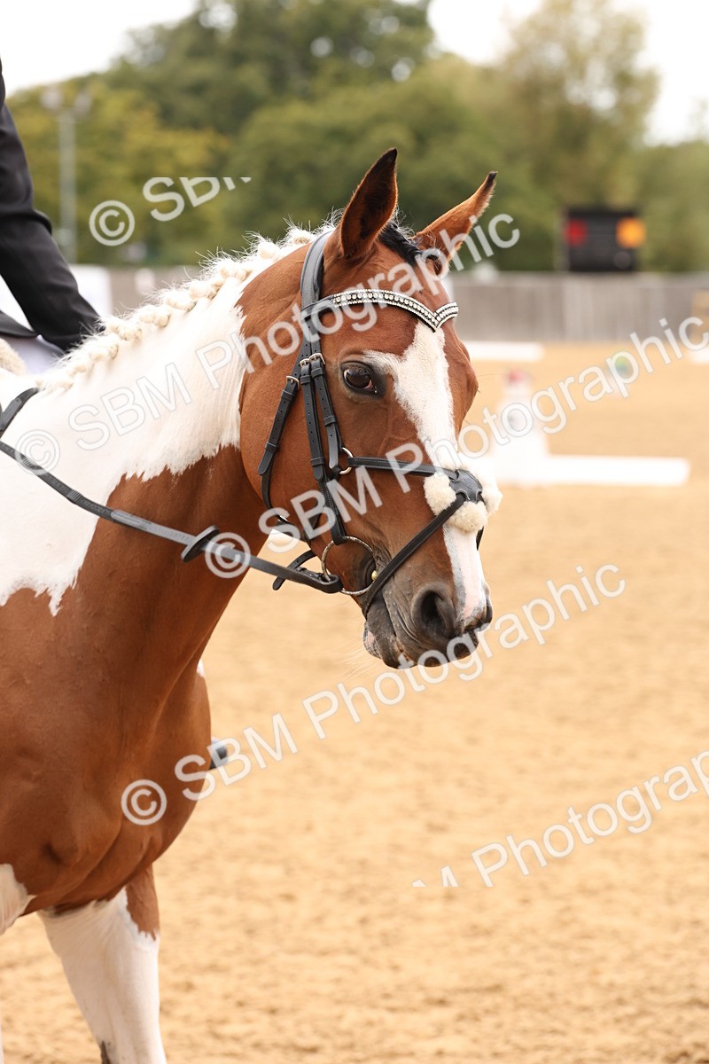 SBM_44046 - D6 - Small Tour Championship Intro 4
