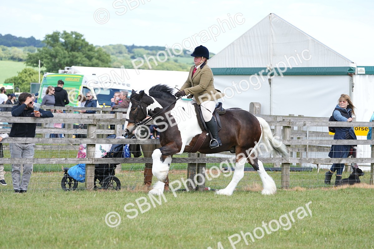 SBM_17156 - Class 107-108 - LIHS BSPS Performance Coloured Horse Pony