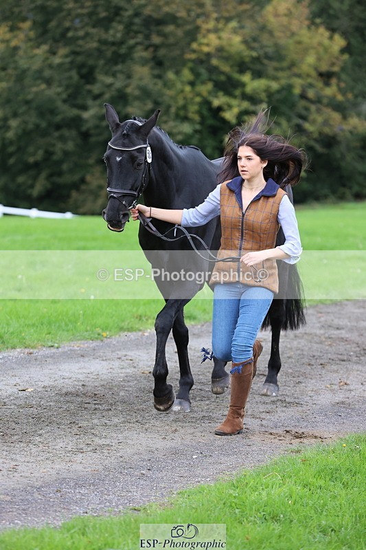 251026A-105817-23413 - G-505-Sarah.Amos