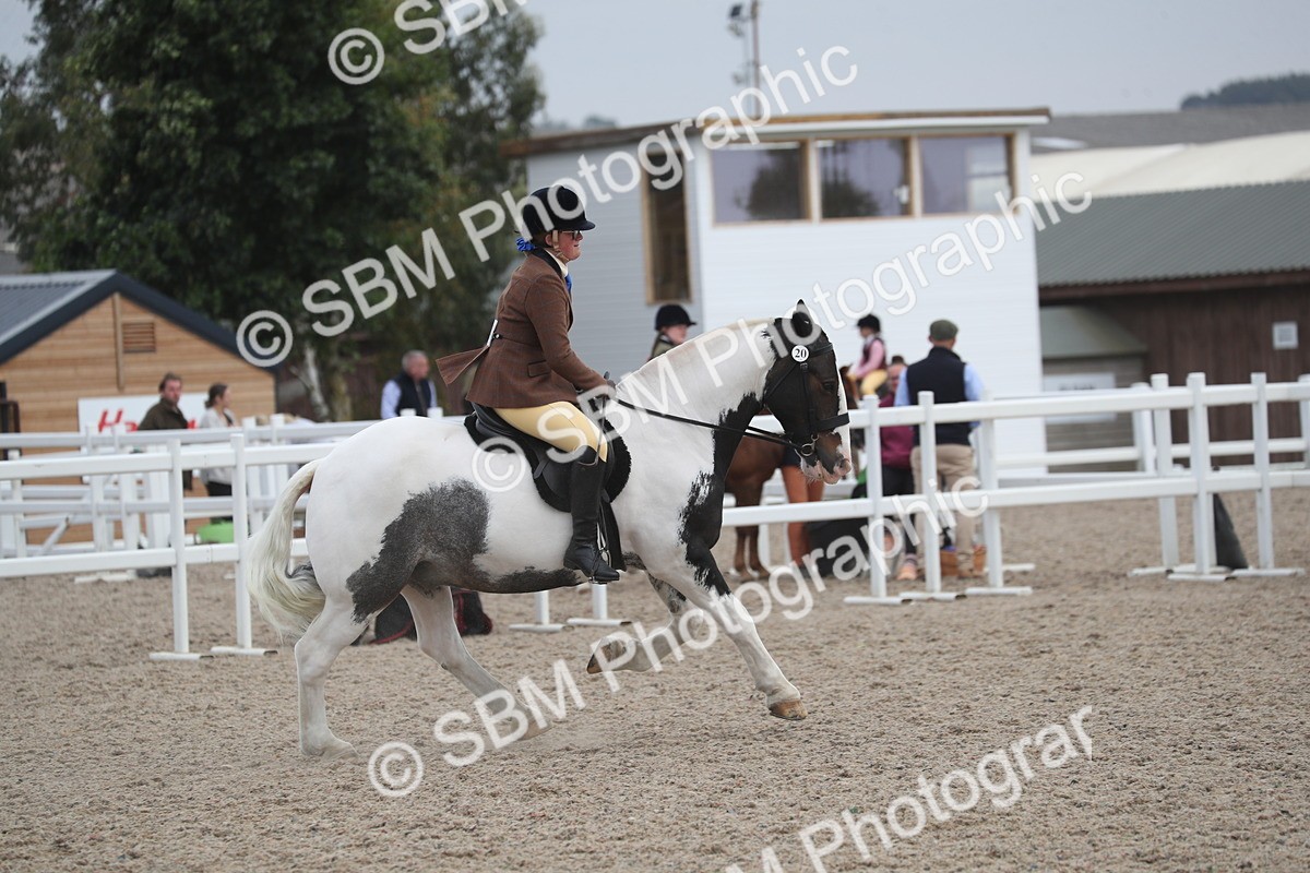 SBM_17412