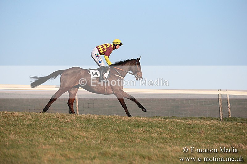 PtP 230219 613 - Vine & Craven Point-To-Point - Barbury 23/02/19