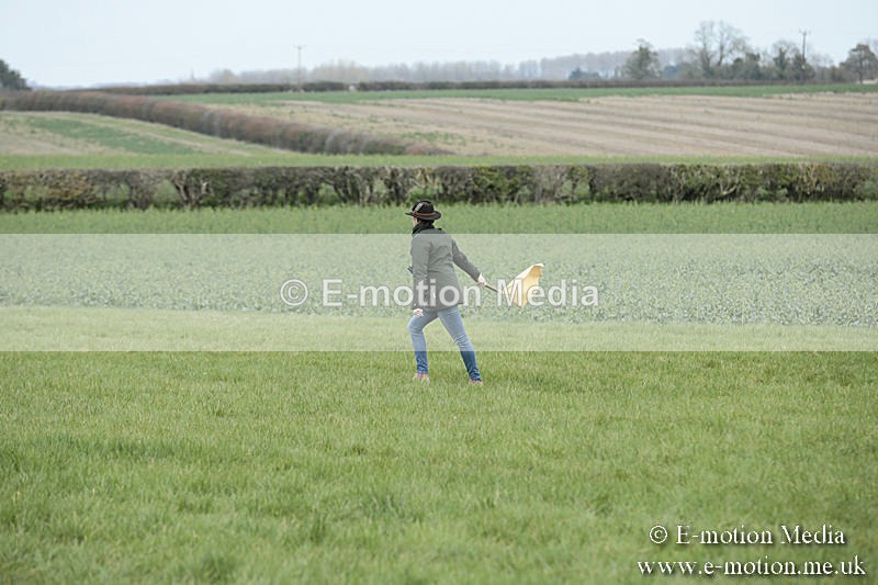 PtP 230319 132 - VWH Hunt Siddington Point-to-Point Racing 23/03/19