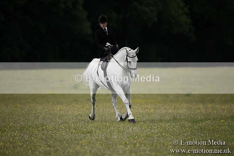 BVR160717-1580 - Side Saddle Classes 16/07/17