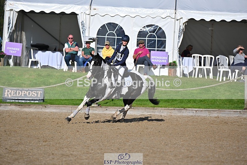 241027-123021-17296 - 387-Kelly.Knockaert-PIPER.II