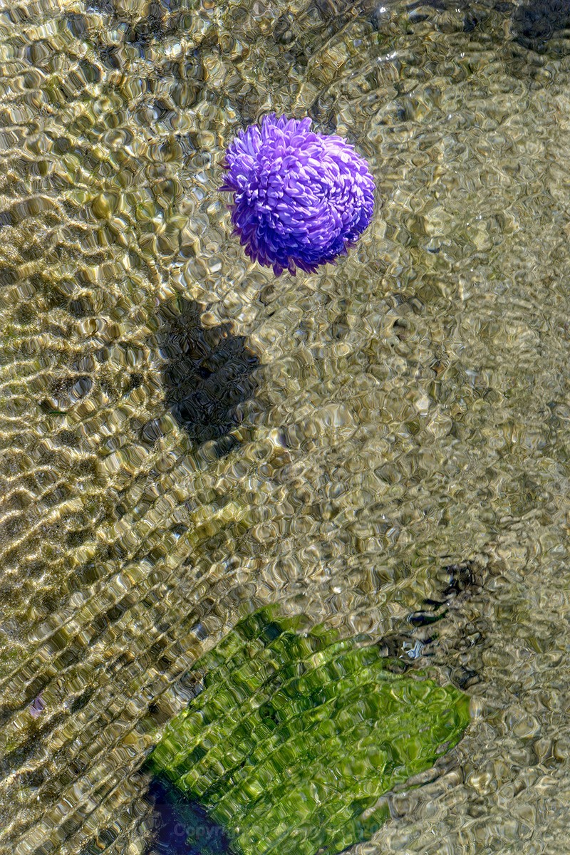 ENTROPY  TRIPTYCH Vll-lX - ENTROPY 2023