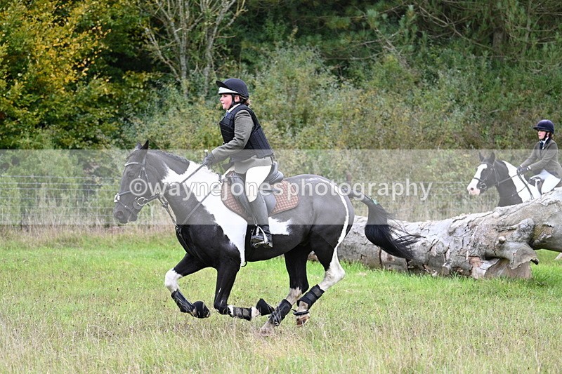 WJ7_3780 - Camera 1 Line 1