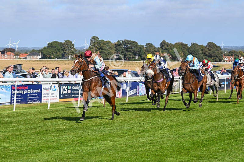 180924-Race 4-Surprised-4477 - Race 4