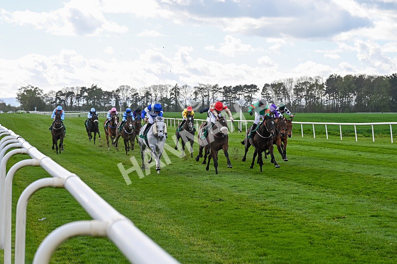 180426-Race 5-Kosometsuke-2492 - Race 5