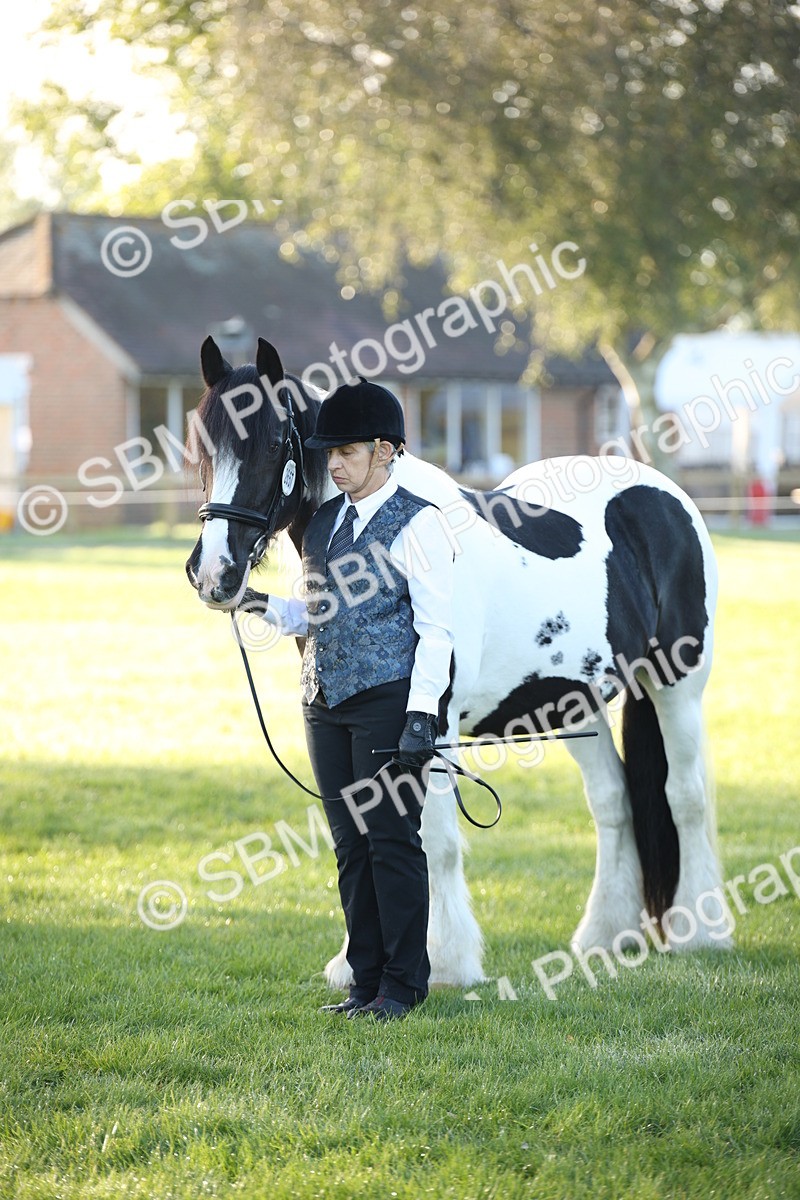 SBM_32342_S8 - Best Turned Out - Theresa Huttom