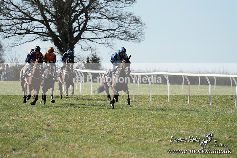 PtP 010325 62 - Beaufort Races Didmarton 01/03/25