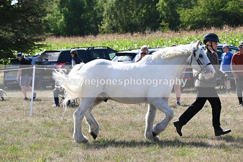 WJ6_4920 - Class 17 Mountain & Moorland