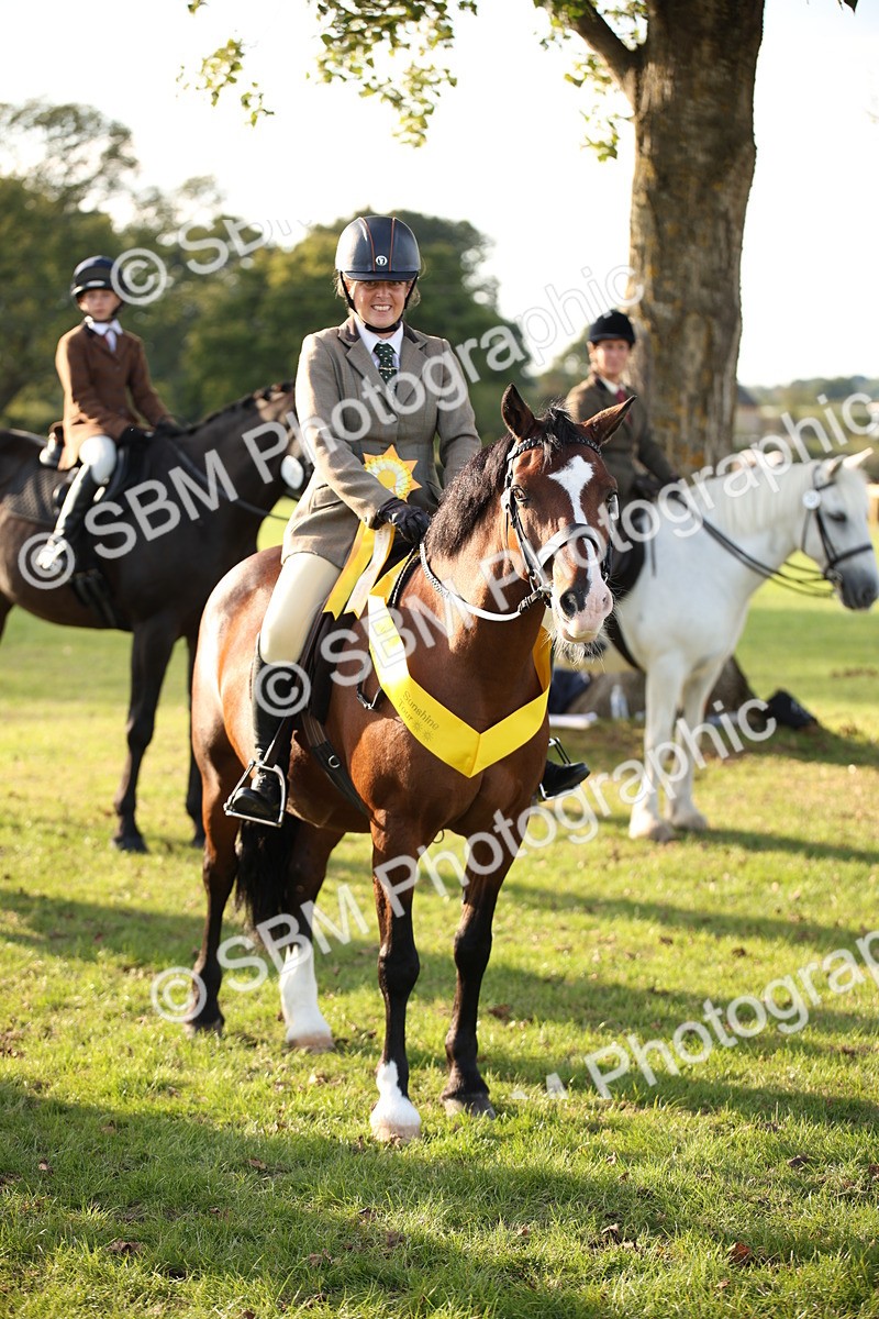 SBM_54356 - S27 - Mature Veteran - Ridden