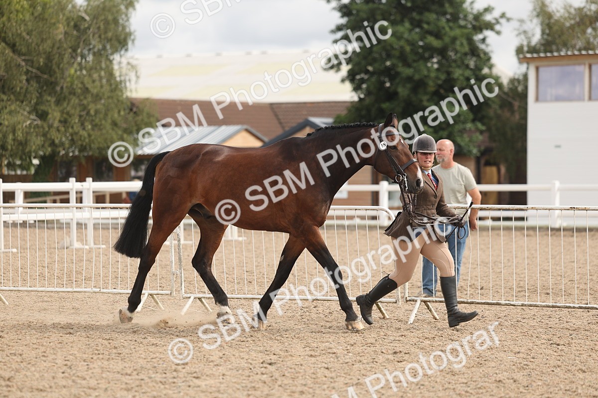 SBM_04973 - Class 20 - IH Veteran