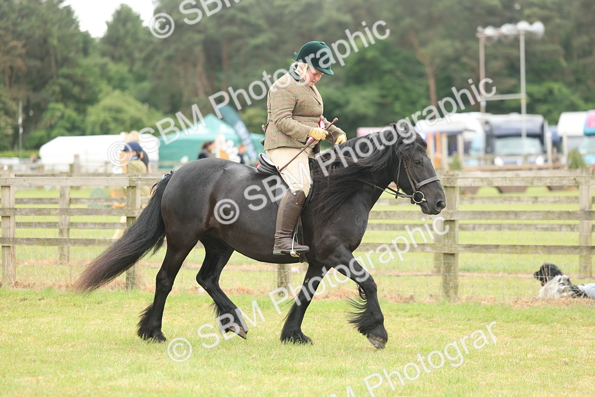 SBM_09071 - Class 78-80 - Ridden M&M Non Welsh Ponies