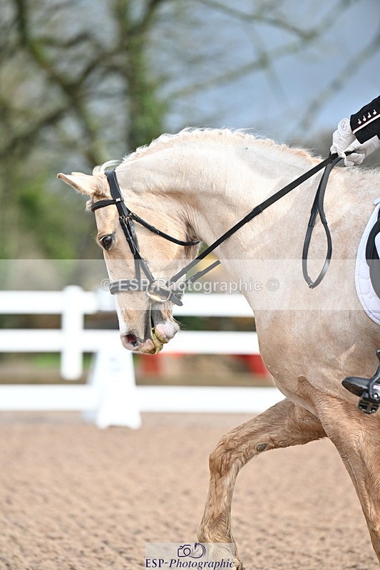 240218A-094431-04832 - 176-Kim.Walker-Dom.Perignon