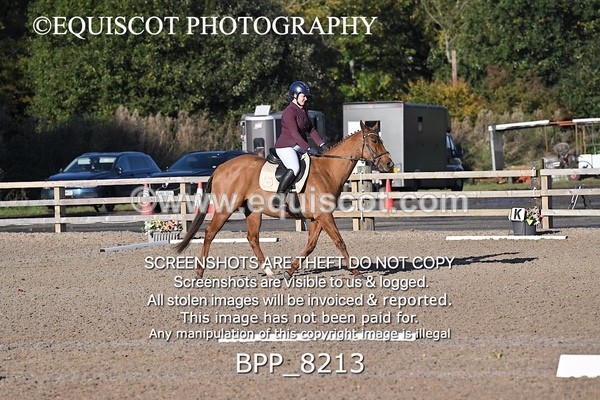 BPP_8213 - SHORT ARENA INTRO 1