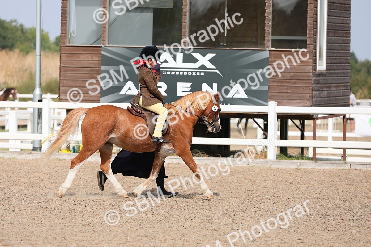 SBM_14073 - Class 309 Lead Rein Pony