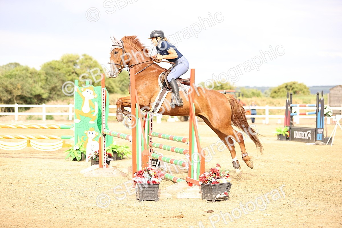 SBM_005005 - Class 24 - Arit Senior British Novice - 90cm