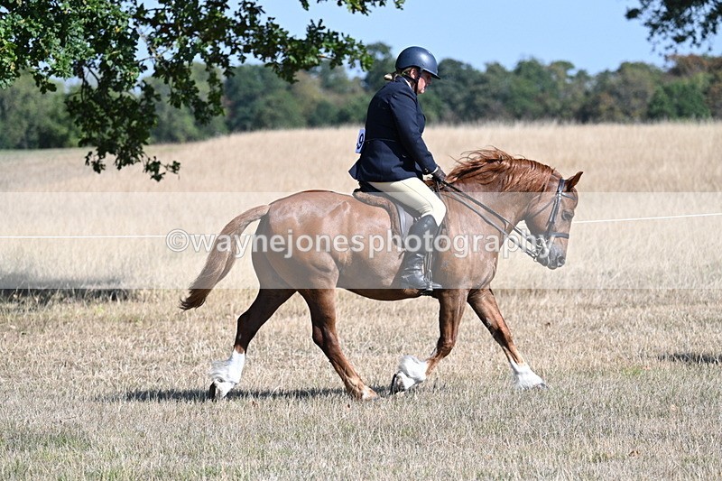 WJ7_3859 - Class 9 Mountain & Moorland Ridden