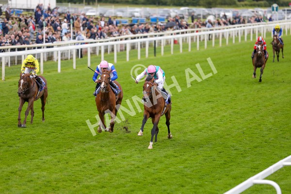 150624-Race 3-Klondike-6124 - Race 3 3.00pm Sky Bet Race To The Ebor Grand Cup Stakes