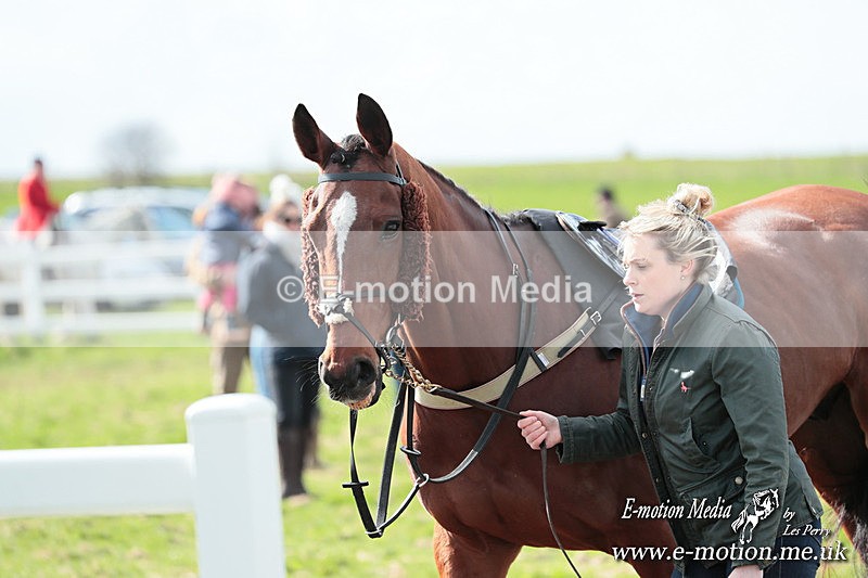 PtP 230324 326 - Tedworth Hunt PtP Larkhill Raccourse 23rd March 2024
