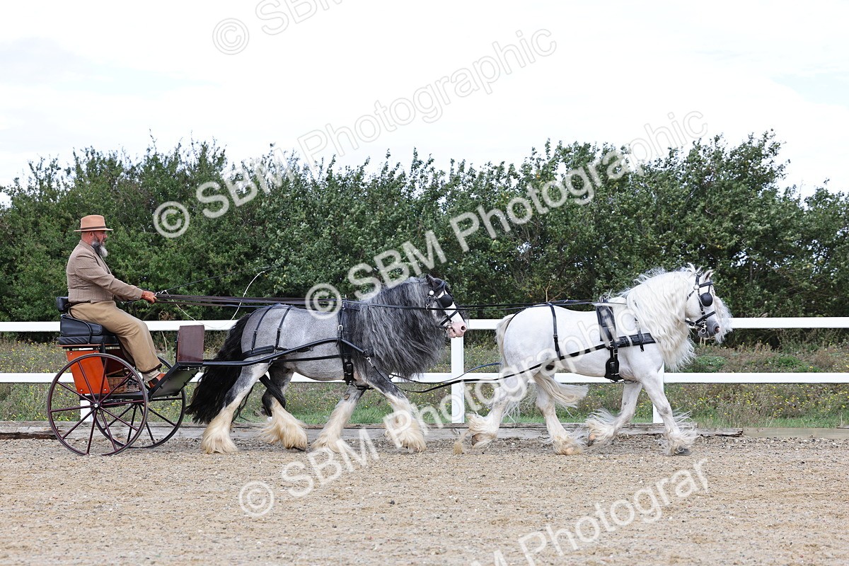 SBM_001171 - Class 16 - Pairs ,Multiples and Tandems