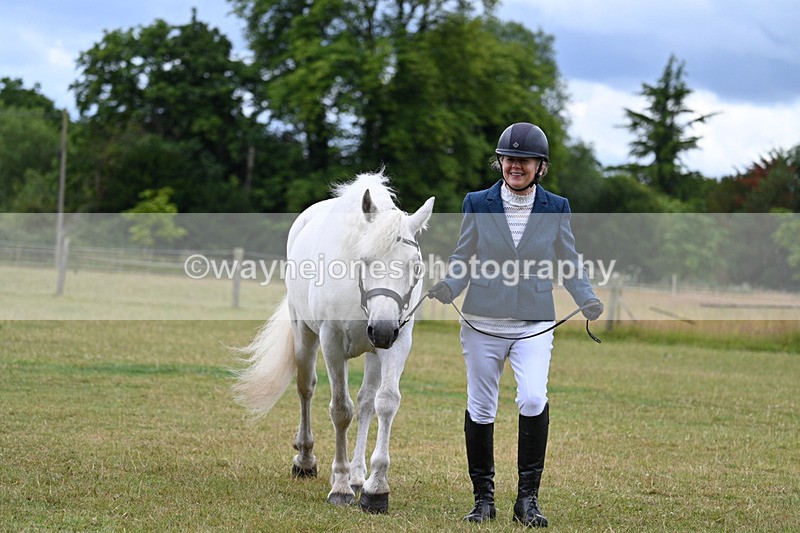 WJ7_6938 - Class 5a Most Handsome Gelding in Hand