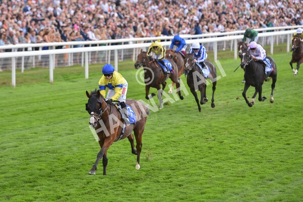 yr20082022r2-39 - Race 2 2.35pm Sky Bet Melrose Stakes