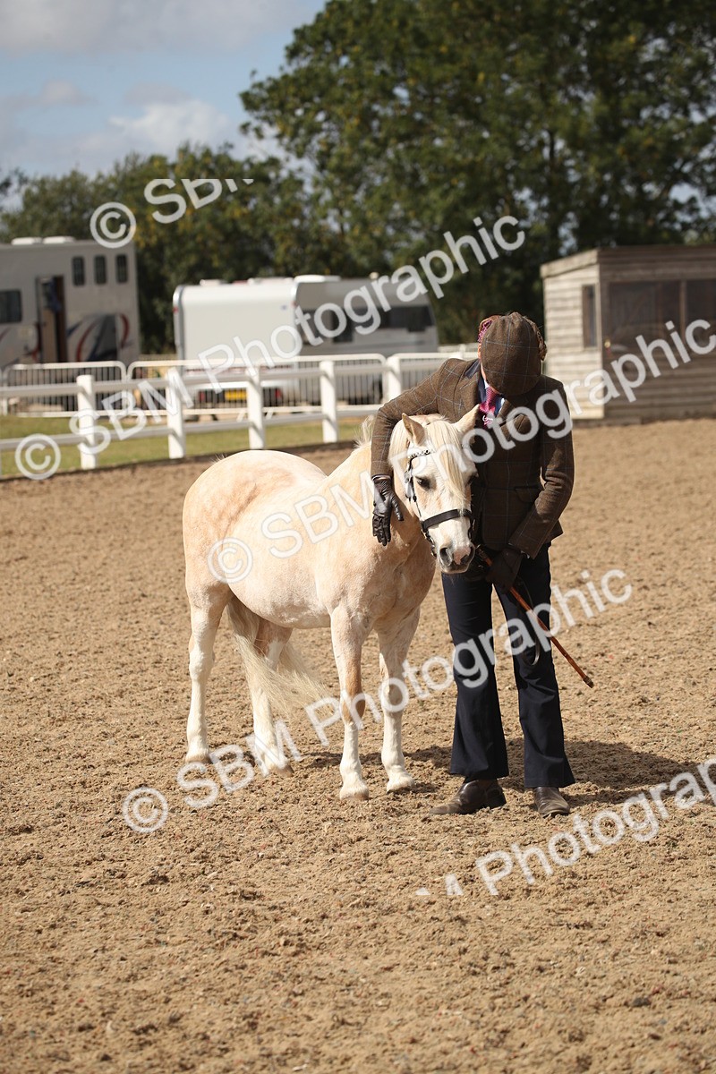 SBM_23467 - Class 604 - 2026 - Area IH Diamond