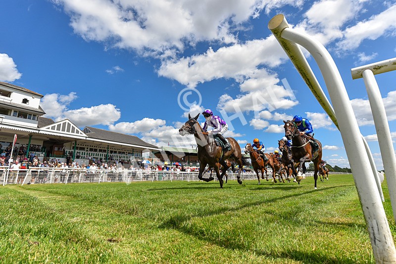 080726-Race 2-Penny Capri-2111 - Race 2 14.30pm Download The Raceday Ready App Nursery Handicap