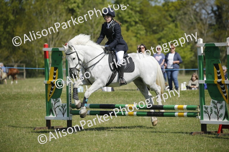 20250427-2188 - Class 13 - Novice Jumping 60cm