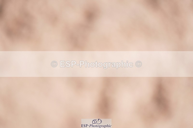 240728A-134440-09241 - Cls 26 NAF Silver Jump Off and Presentations