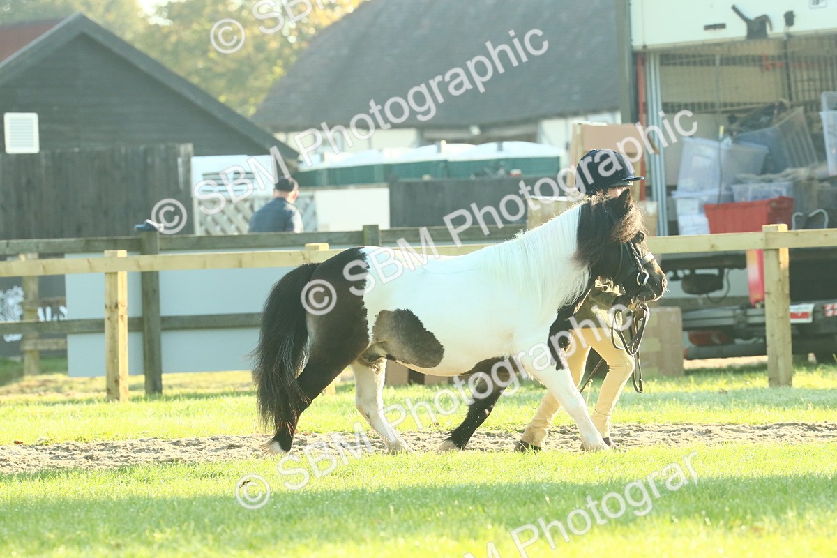 SBM_57335 - S37 - Starters In Hand Showing