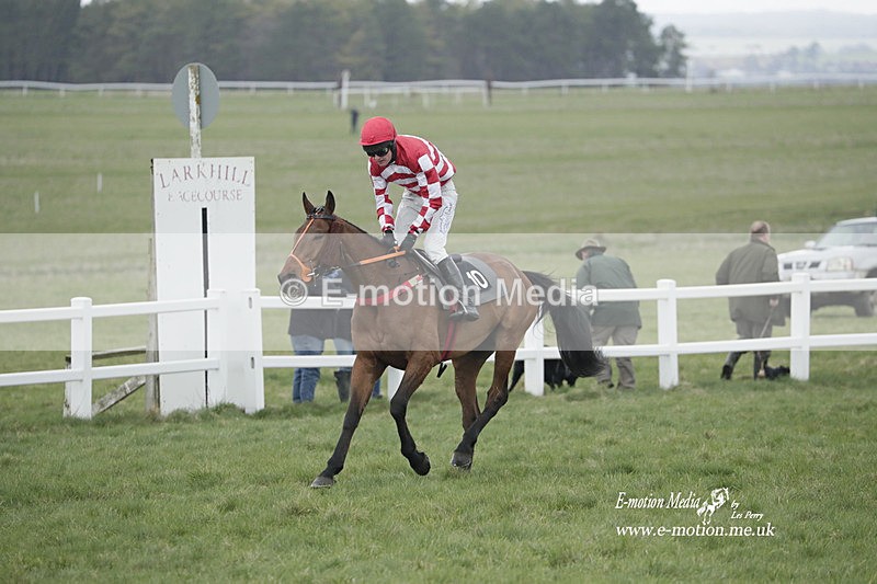 PtP 260323 0615 - New Forest Hounds Point-to-Point Larkhill 26/03/23
