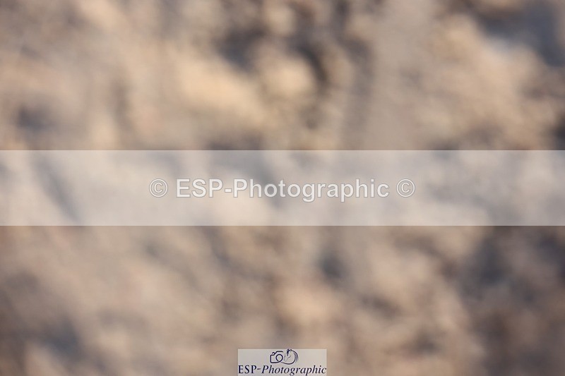 241201X-114112-00925 - Classes 06-09 Jnr 110-115-120-125