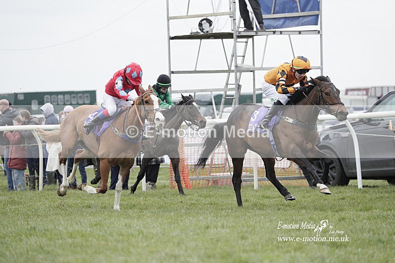PtP 050323 163 - Blackmore & Sparkford Vale Hunt PtP - Somerset 05/03/23